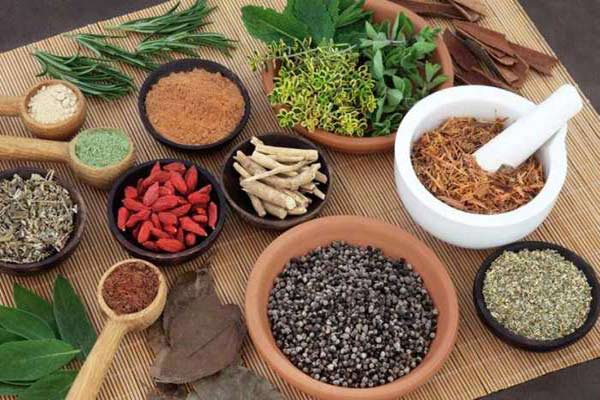 आयुर्वेद को दवा माफियाओं से बचाना होगा