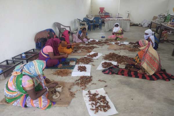 बंगाल के उद्यमी मंडल से करार करेगा लघु कुटीर बोर्ड, लाह उत्पादों को बढ़ावा देना है उद्देश्य