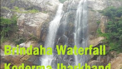 Photo of कोडरमा : वृंदाहा वाटरफॉल से युवक का शव बरामद