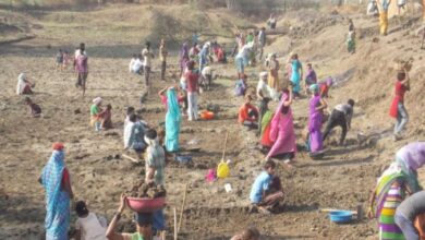 Photo of मनरेगा कर्मी कर रहे चुनाव का काम, मनरेगा का काम प्रभावित